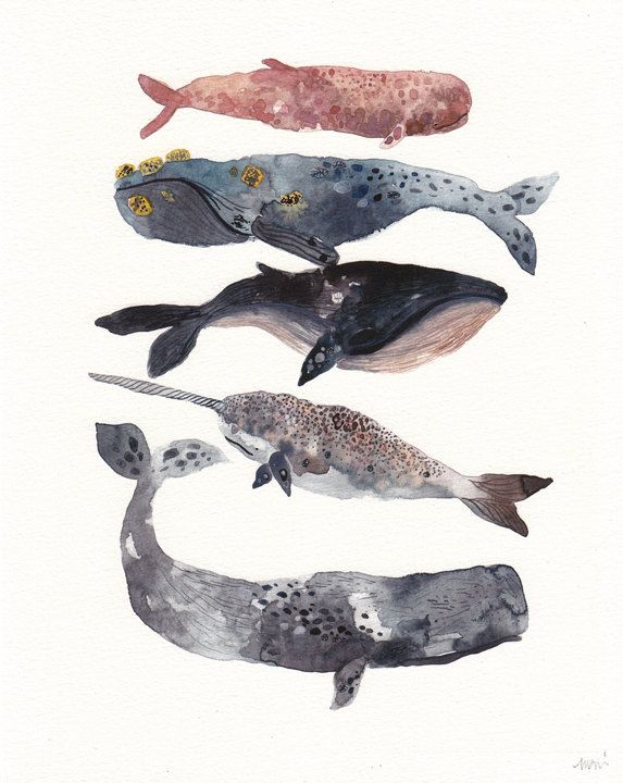 Aquarell & Gold Event Meereswesen 1